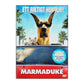 Marmaduke