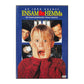 Home Alone | Ensam Hemma
