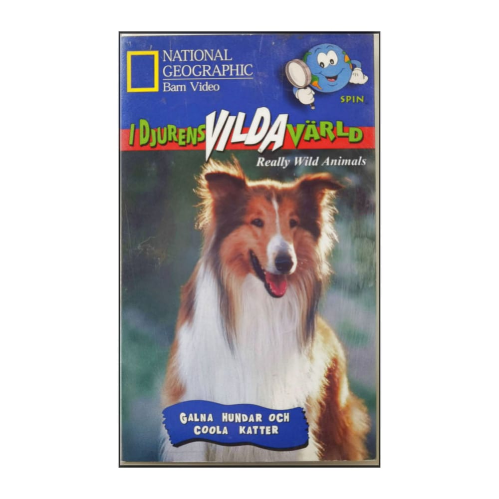 National Geographic: I Djurens Vilda Värld: Galna Hundar Och Coola Katter