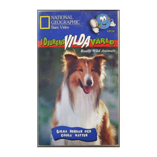 National Geographic: I Djurens Vilda Värld: Galna Hundar Och Coola Katter