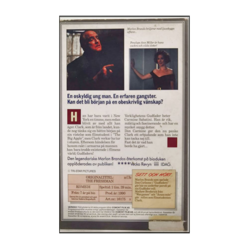 The Freshman | Ny I Maffian