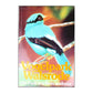 Vogelpark Walsrode