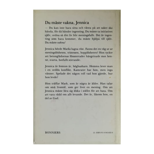 Liselotte Frisk: Solsken