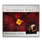 Instrumental Magic: Bewitching Violins
