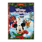 Disney Winter Wonderland