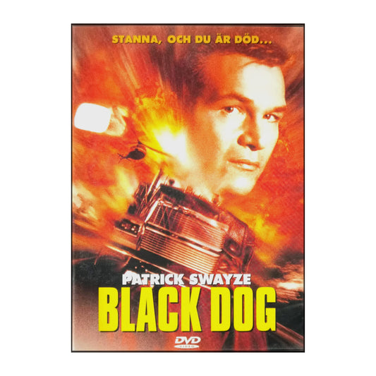 Black Dog