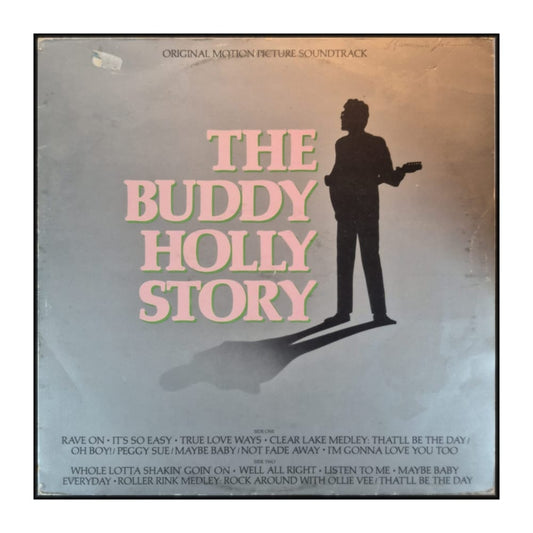 Gary Busey: The Buddy Holly Story