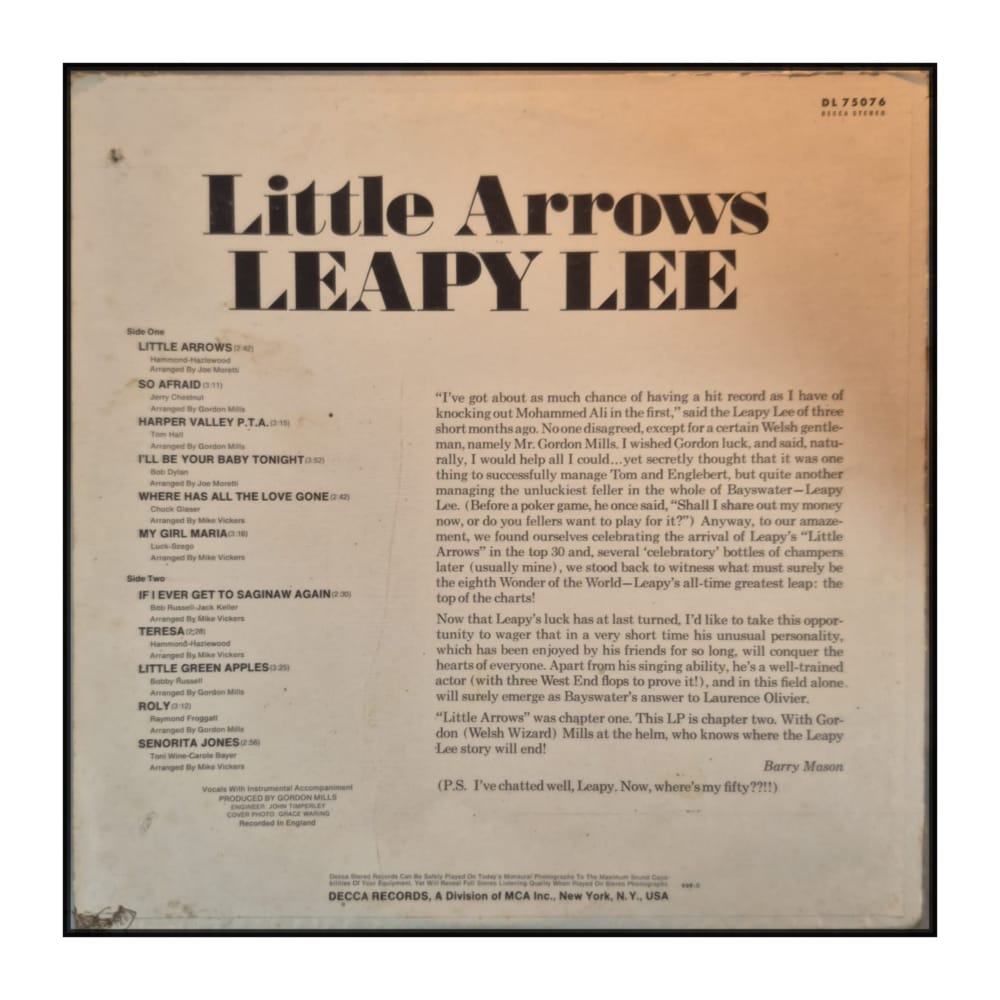 Leapy Lee: Little Arrows