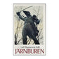 Carl Magnus Von Seth: Järnburen