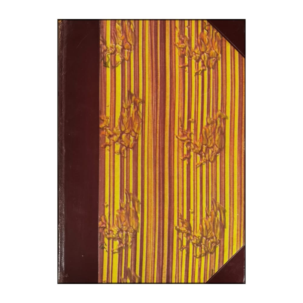 Nordisk Familjebok 6