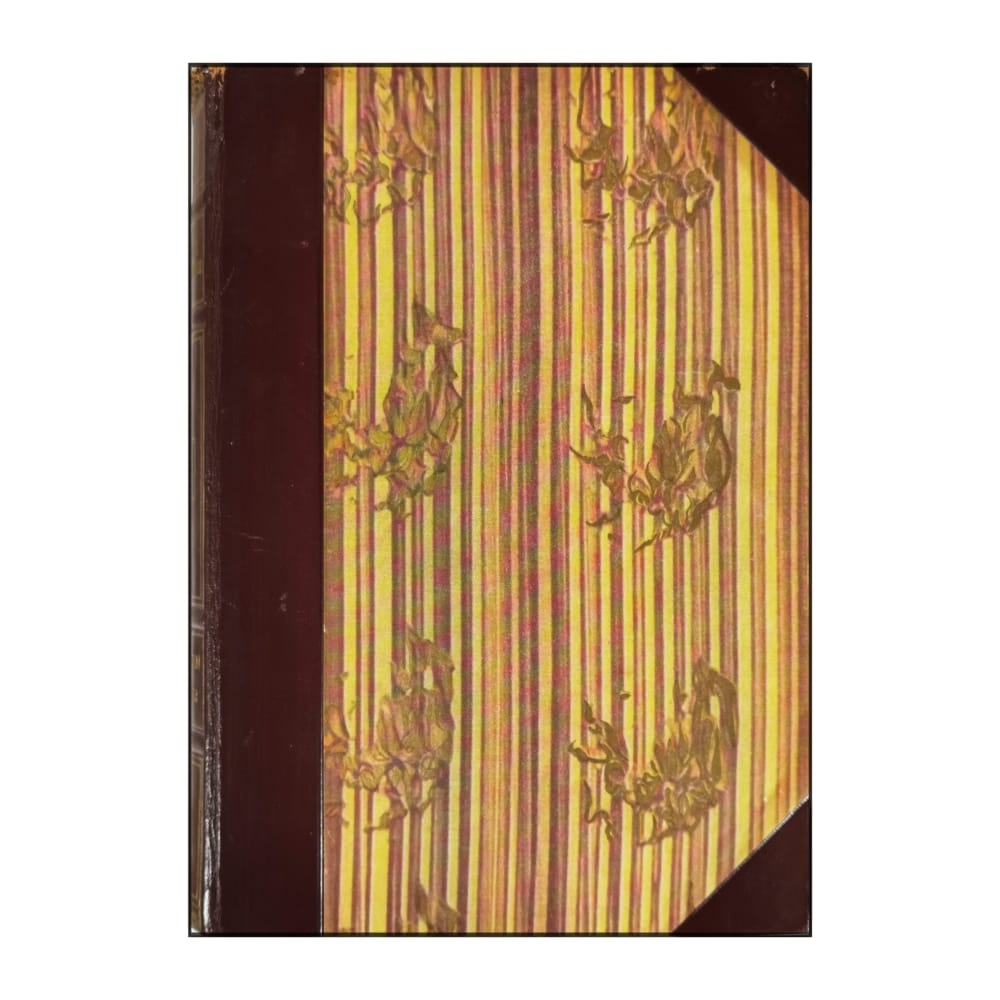 Nordisk Familjebok 13