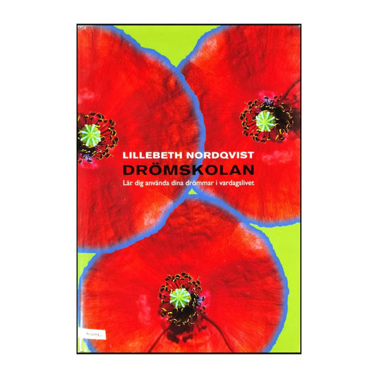 Lillebeth Nordqvist: Drömskolan
