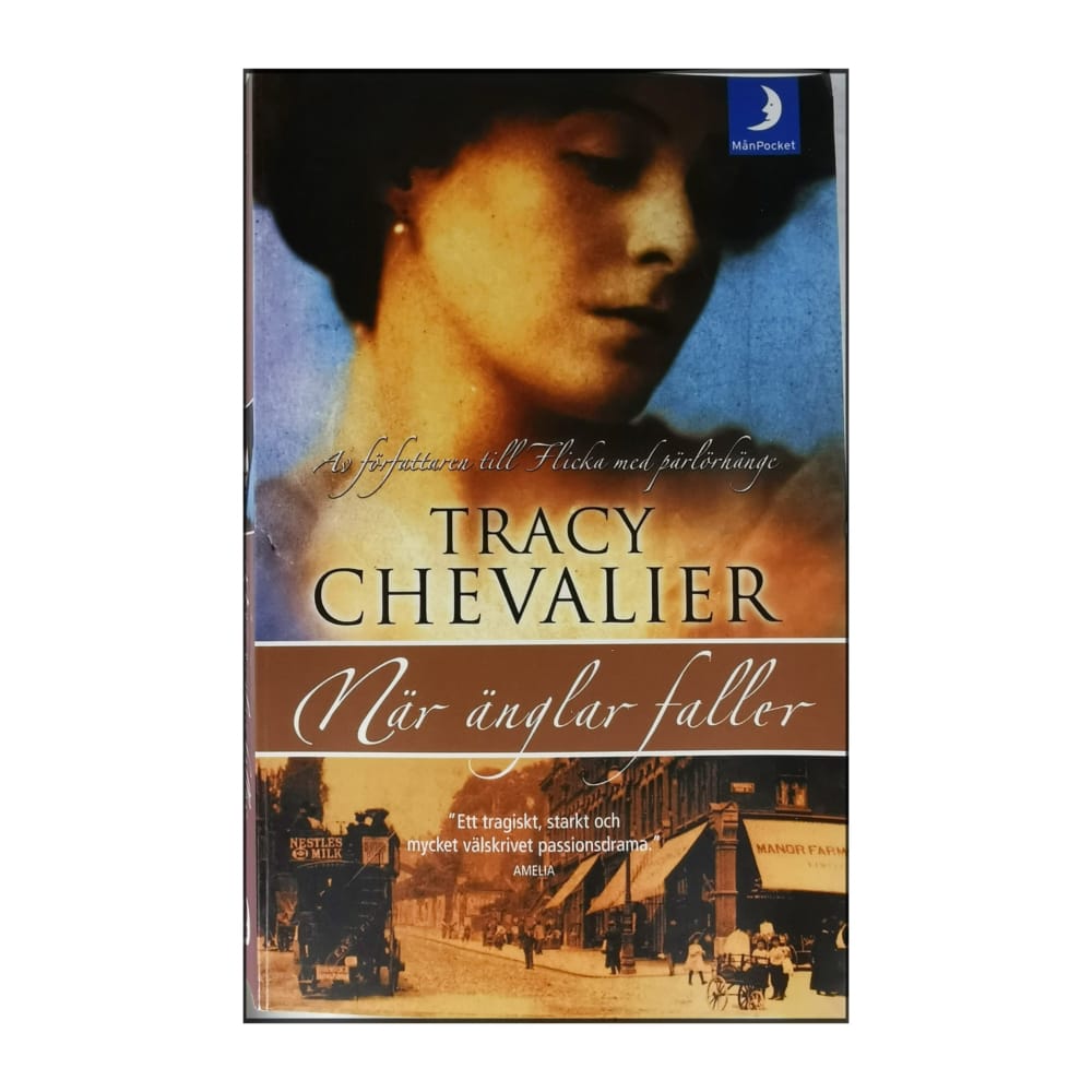 Tracy Chevalier: När Änglar Faller