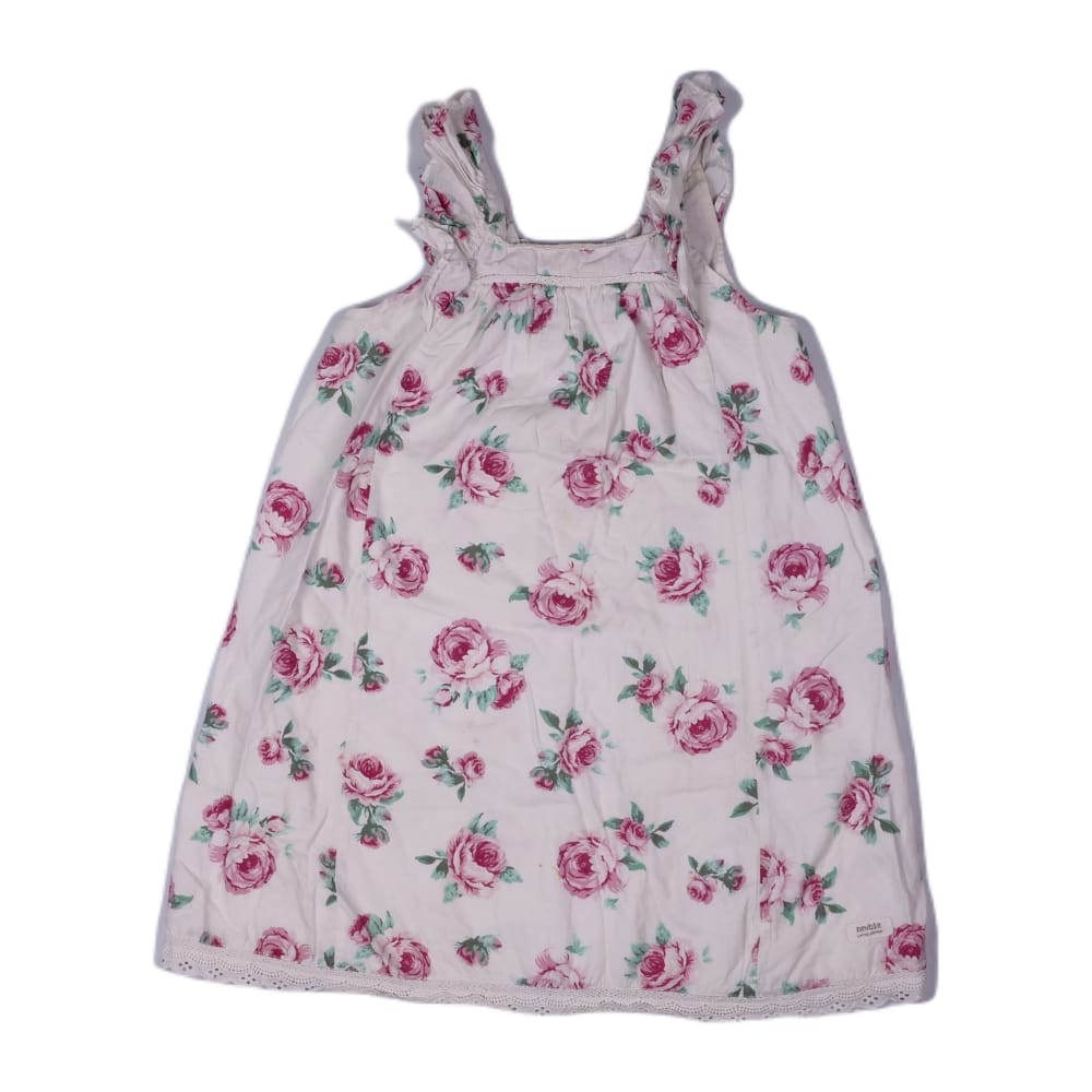 Newbie - Limited Edition