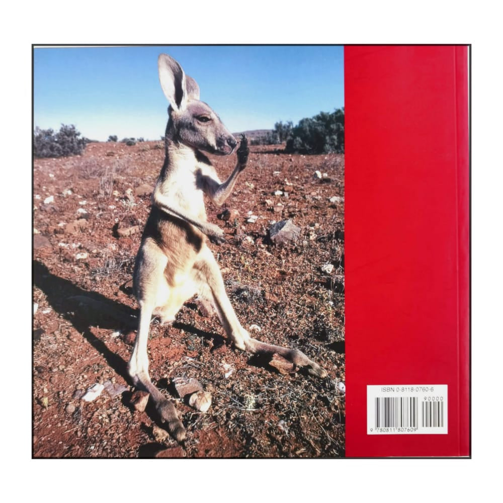 Mitsuaki Iwago: Mitsuaki Iwago'S Kangaroos