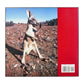 Mitsuaki Iwago: Mitsuaki Iwago'S Kangaroos