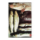 Jane Grigson: Fish Cookery