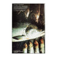 Jane Grigson: Fish Cookery