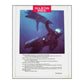 Ron Taylor & Valerie Taylor: Hajens Rike