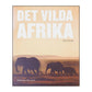 Tom Schandy: Det Vilda Afrika