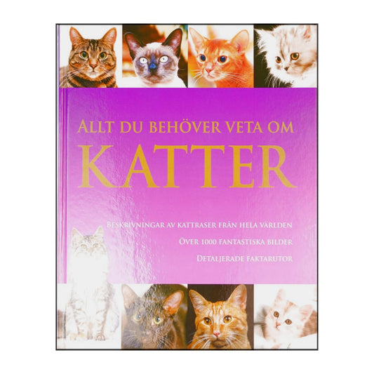 Candida Frith-Macdonald: Allt Du Behöver Veta Om Katter