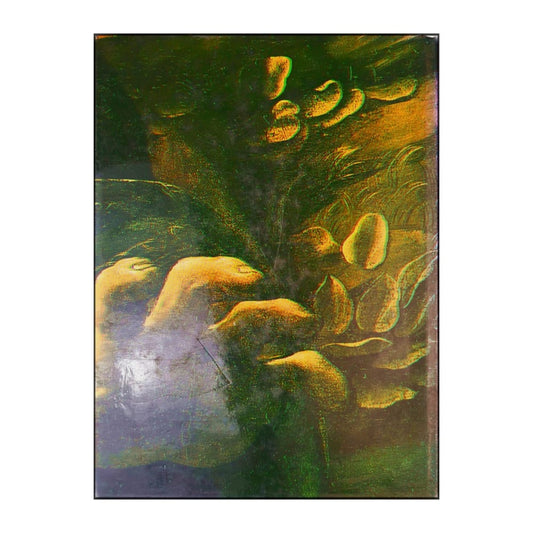 Marco Rosci: Leonardo
