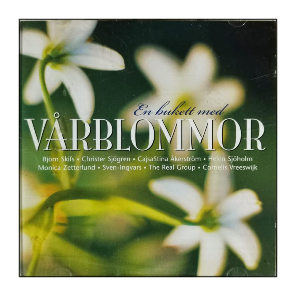 En Bukett Med Vårblommor