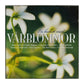 En Bukett Med Vårblommor