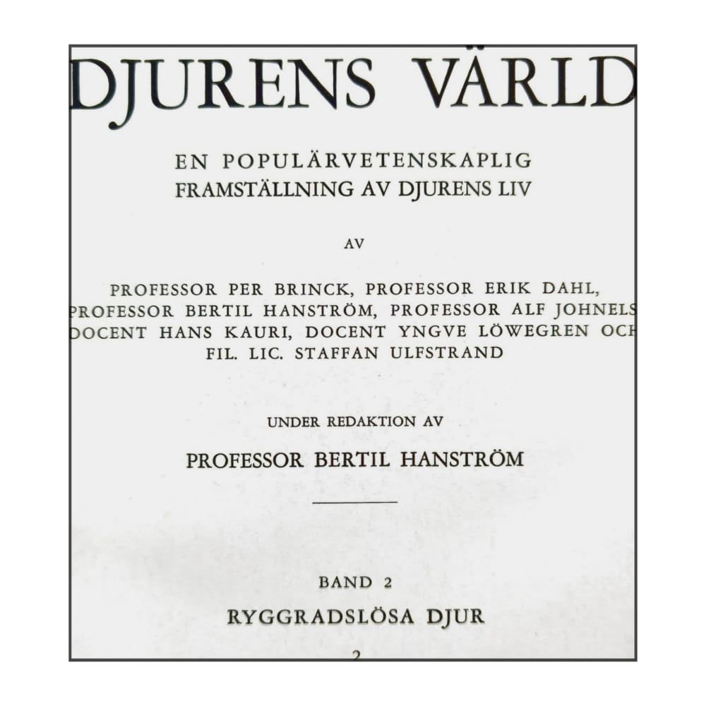 Djurens Värld 2