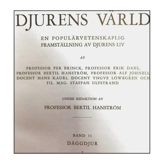 Djurens Värld 11