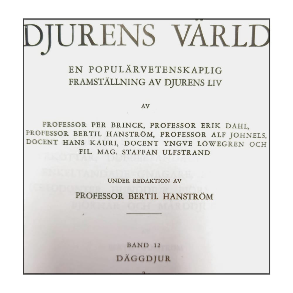 Djurens Värld 12
