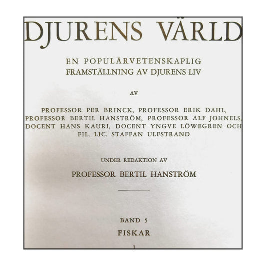 Djurens Värld 5