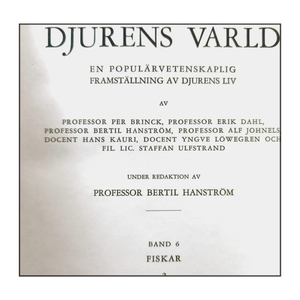 Djurens Värld 6