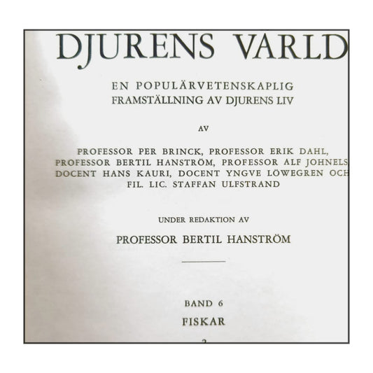Djurens Värld 6