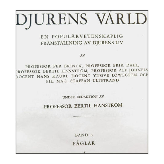 Djurens Värld 8