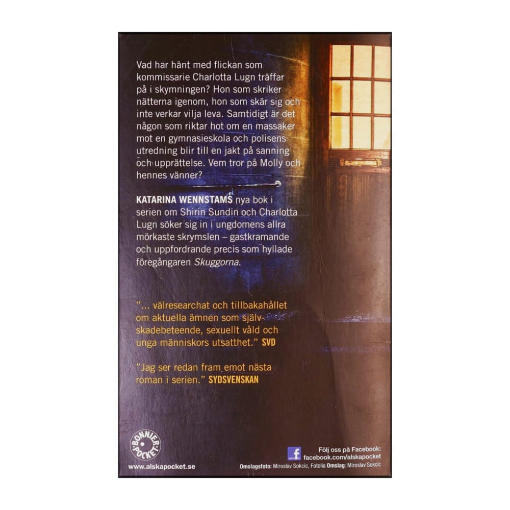 Katarina Wennstam: Skymningsflicka
