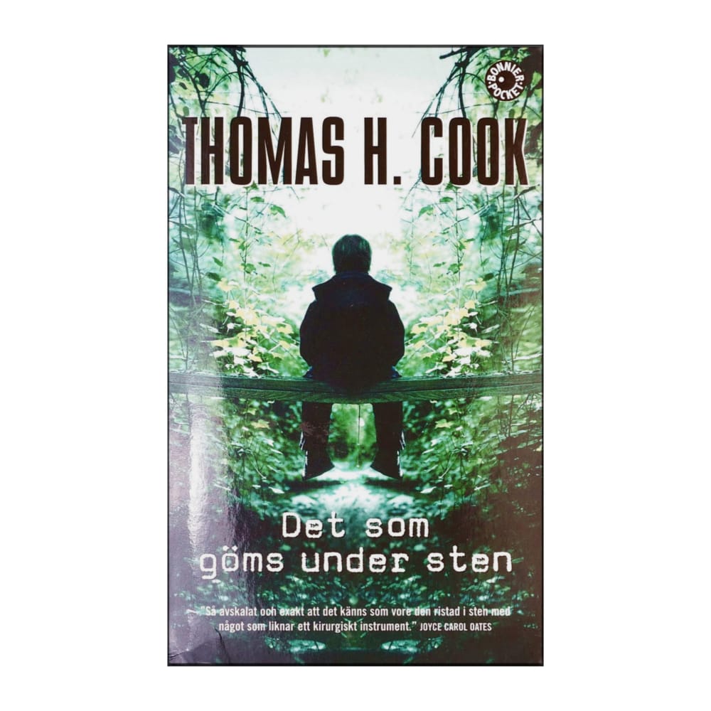 Thomas H. Cook: Det Som Göms Under Sten