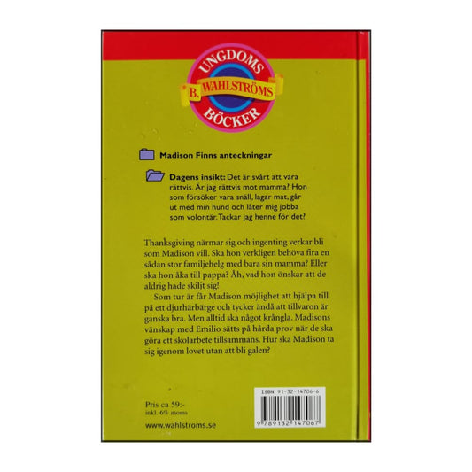 Laura Dower: Madison Finns: Drömjobbet