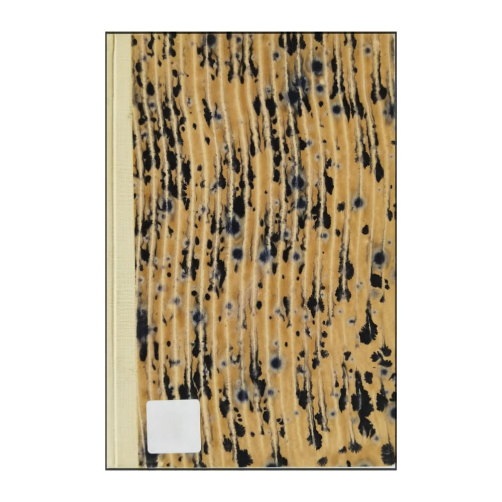 Madelon Lulofs: Den Andra Världen