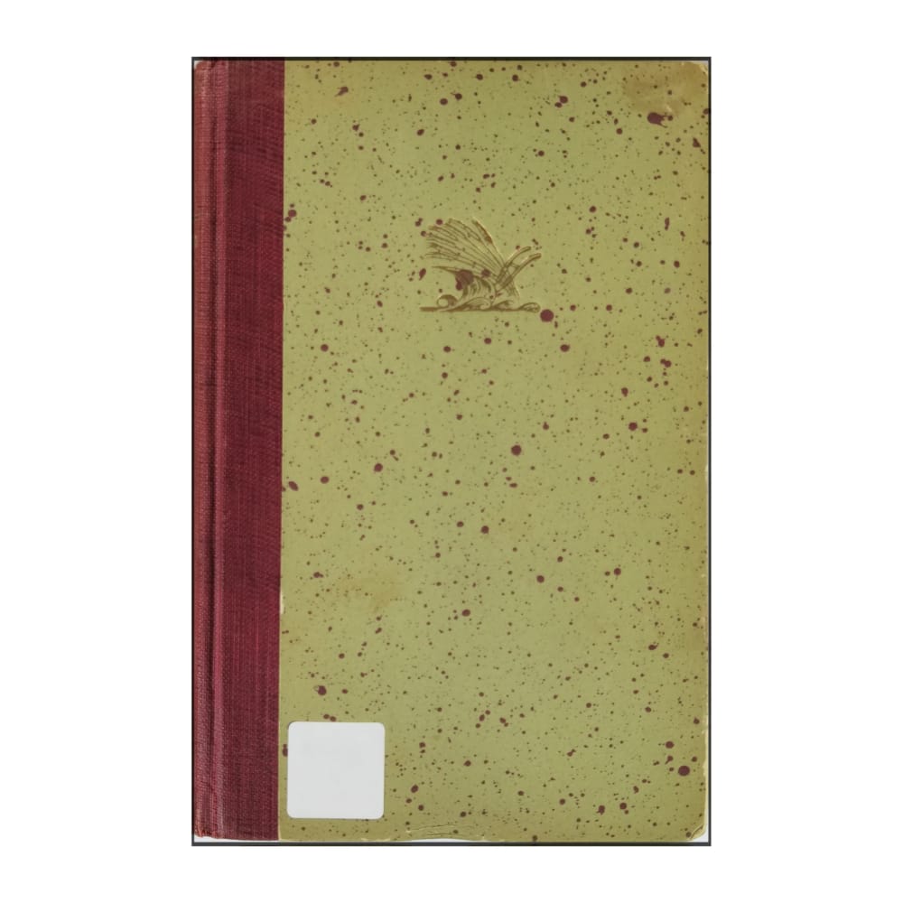 Anna Lorentz: Främling I Egen By