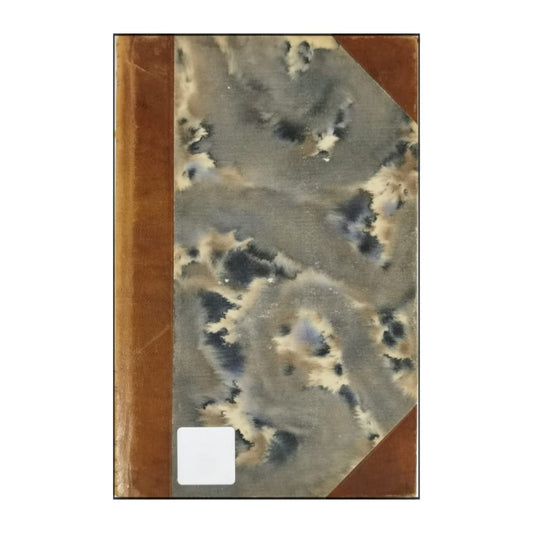 Maxim Gorkij: En Moder