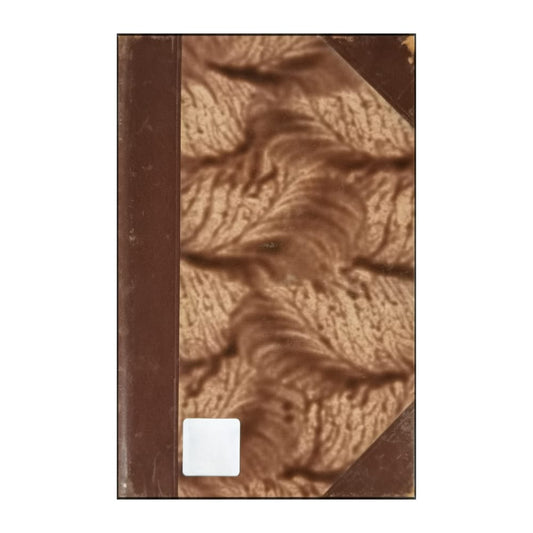 Guy De Maupassant: Ett Äktenskap