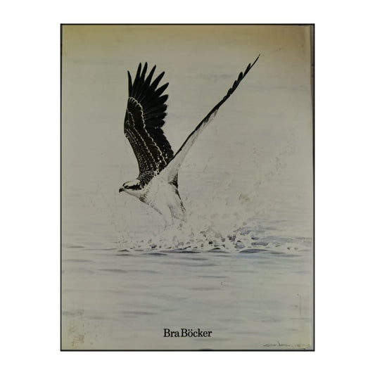 Gunnar Pettersson: Europas Rovfåglar