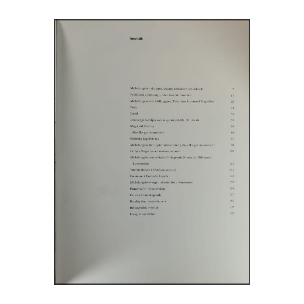 Roberto Salvini: Michelangelo