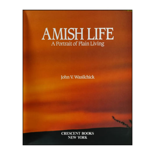 John V. Wasilchick: Amish Life: A Portrait Of Plain Living