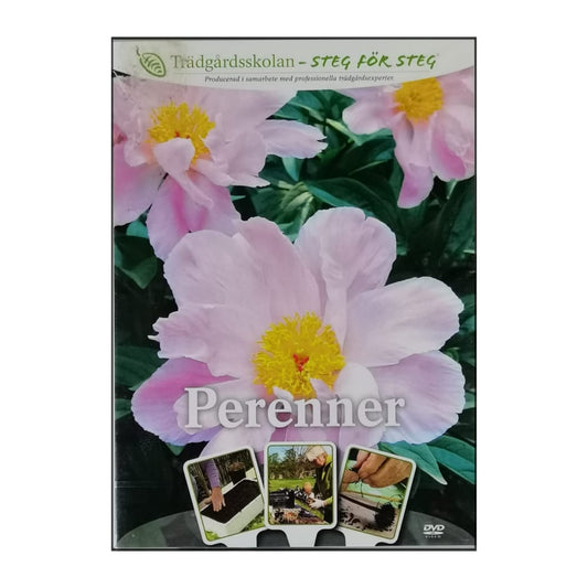 Trädgårdsskolan: Perenner