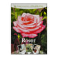 Trädgårdsskolan: Rosor