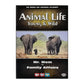Animal Life: Young & Wild: Mr. Mom