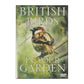 British Birds In Your Garden