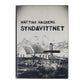 Mattias Hagberg: Syndavittnet